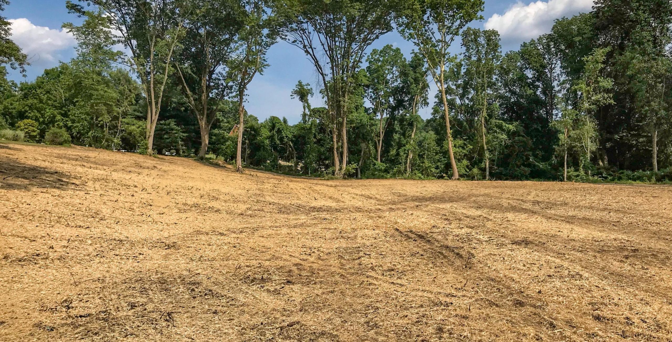 Forestry mulching hero